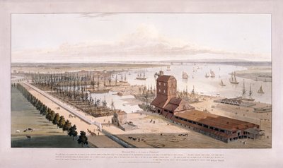 Muelle de Brunswick y Muelle de las Indias Orientales, Poplar, Londres de William Daniell