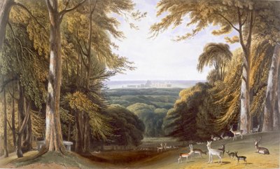 Valle en el Parque Windsor cerca de Bishops Gate, c. 1827-30 de William Daniell