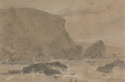 Roca de hinojo marino, St. Agnes, Cornualles de William Daniell