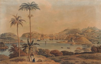 Vista de la ciudad de St. George y Richmond Heights en la isla de Granada, tomada desde la bahía por el teniente coronel Wilson, 1819 de William Daniell