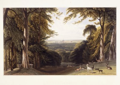 Castillo de Windsor desde el parque de ciervos, c.1827-1829 de William Daniell