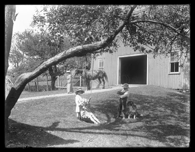 Niños de la familia McCready con un perro y un cachorro reunidos alrededor de un columpio de cuerda fuera de un granero, c.1913 de William Davis Hassler