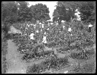 Niños trabajando en el jardín escolar de Isham Park, Ciudad de Nueva York, 16 de agosto de 1915 de William Davis Hassler