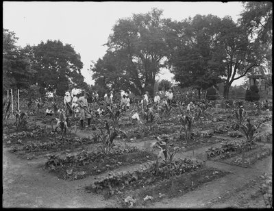Niños trabajando en el jardín de la escuela en Isham Park, Nueva York, 5 de agosto de 1914 de William Davis Hassler