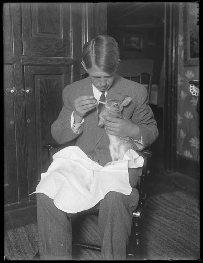 James H. Hassler alimentando a un conejo, c.1912 de William Davis Hassler