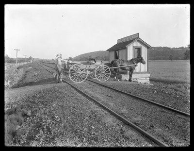 Hombre no identificado cargando leche en un carro tirado por caballos estacionado sobre las vías del tren fuera de la granja McCready, Pensilvania, c.1913 de William Davis Hassler