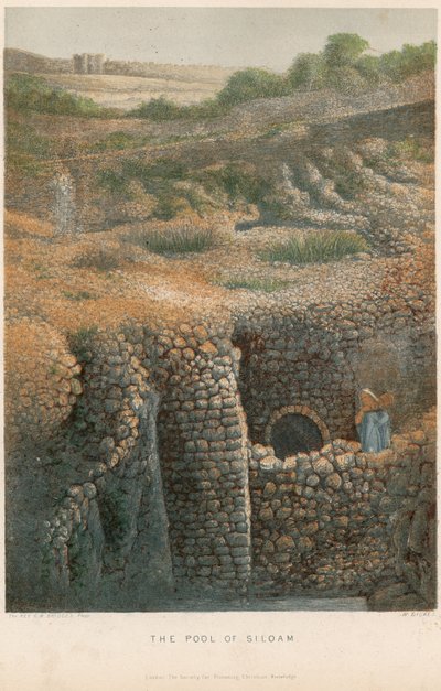 El estanque de Siloé de William Dickes