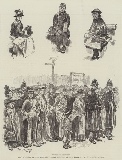 La angustia en el East-End, gran reunión en el Assembly Hall, Mile-End-Road de William Douglas Almond