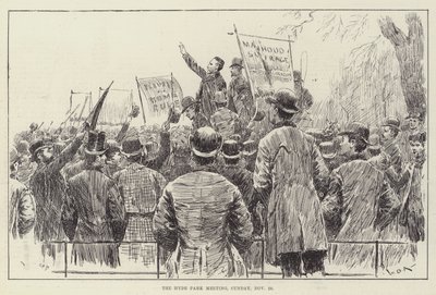 La reunión de Hyde Park, domingo, 20 de noviembre de William Douglas Almond