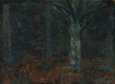 Viejo Sicomoro de William Edward Stott