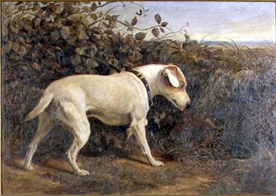 Terrier en un Paisaje de William Elsob Marshall