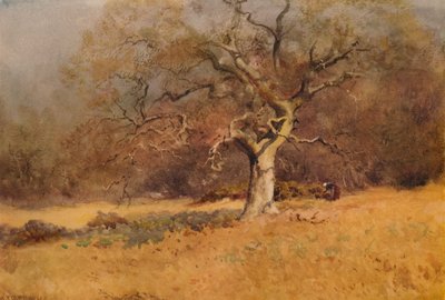 Bosques de invierno, c. 1916, 1938 de William Eyre Walker