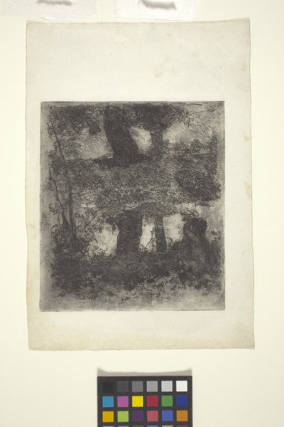 Paisaje con fauno y estanque (paisaje reflejado) (aguafuerte) de William Forsyth