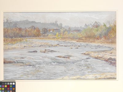 Whitewater Rapids (acuarela sobre papel blanco hueso) de William Forsyth