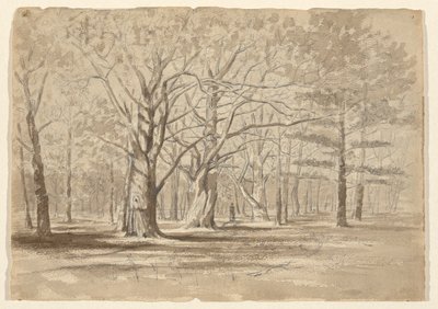 bosque universitario de William Fowler Hopson