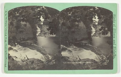Cascadas del bosque desde arriba, Ithaca Gorge, finales del siglo XIX de William Frear