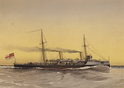 HMS Speedwell, cañonera torpedera de William Frederick Mitchell