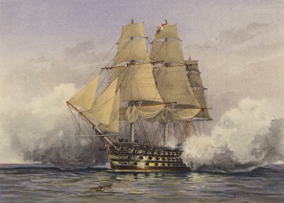 La Victoria de William Frederick Mitchell