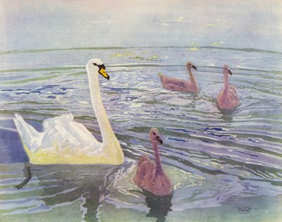 Cisne y cisnes (litografía en color) de William Giles