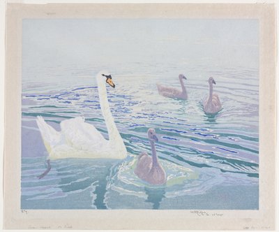 Swans and Cygnets de William Giles
