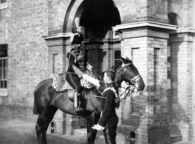 Oficial de los 3º Húsares, c.1890s de William Gregory
