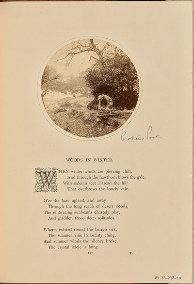 [Un hombre recogiendo leña, Inglaterra] de William Grundy