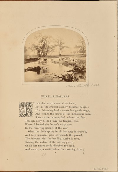 [Escena pastoral con ganado en un campo inundado, Inglaterra] de William Grundy