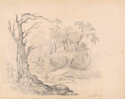 Escena de Scott de William Guy Wall