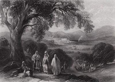 Valle de Nazaret de William H. Bartlett