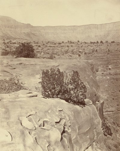 Meseta, al norte del Gran Cañón de William H. Bell