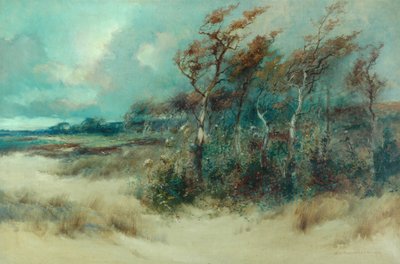 Árboles en un camino arenoso, Heysham, 1916 de William H. Parkinson