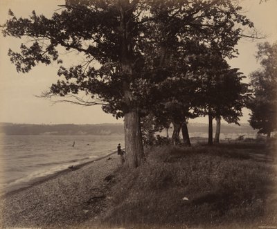 Lago Cayuga, Sheldrake de William H. Rau