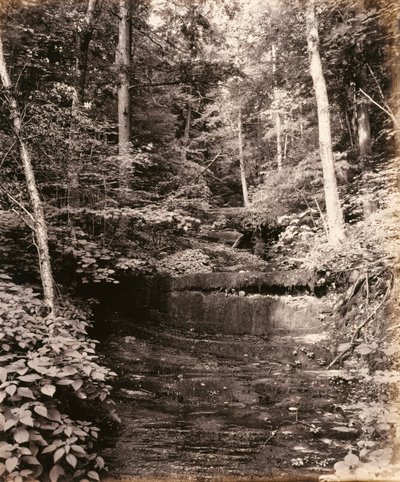 Lago Owasco, Cascade Glen, para el ferrocarril de Lehigh Valley de William H. Rau