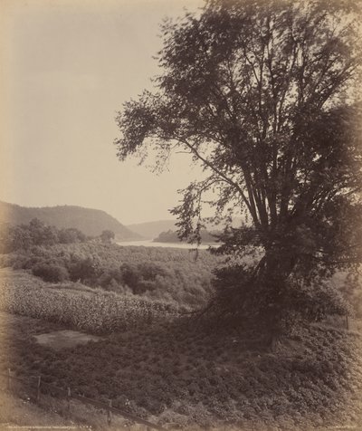Pintoresco Susquehanna, cerca de Laceyville de William H. Rau