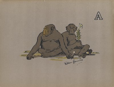 Letra A, Monos antropoides estéticos que adoptan actitudes anormalmente apáticas (litografía en color) de William Hammond