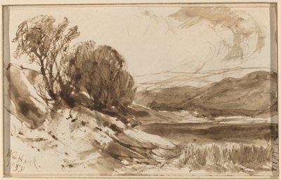 Paisaje montañoso con árboles de William Hart