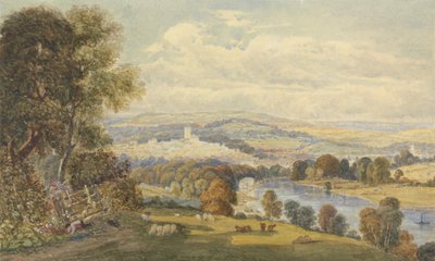 Vista de Totnes, Devon de William Havell