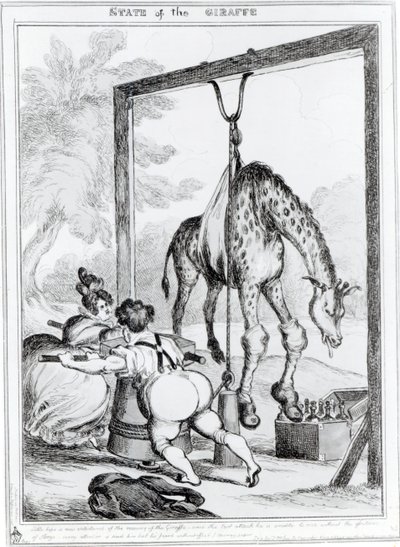 Estado de la jirafa, 1829 de William Heath