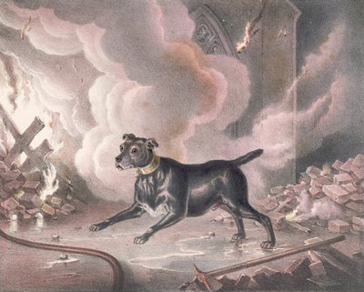El perro del bombero de Londres de William Heath