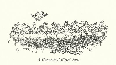 Un nido comunal de aves de William Heath Robinson