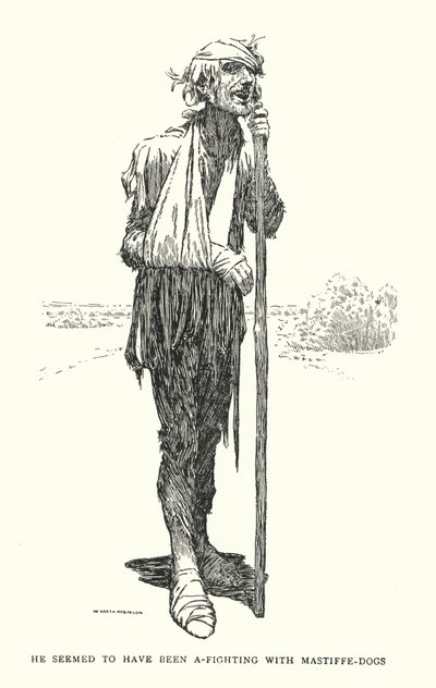 Parecía haber estado peleando con perros mastines de William Heath Robinson