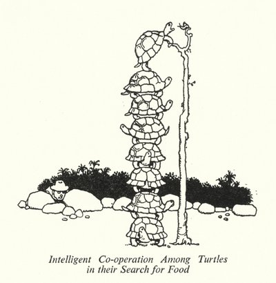 Cooperación Inteligente entre Tortugas en su Búsqueda de Alimento de William Heath Robinson