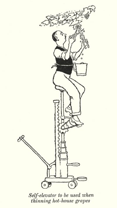 Elevador automático para usar al adelgazar uvas de invernadero de William Heath Robinson