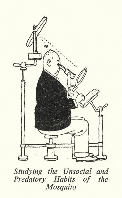 Estudiando los Hábitos Antisociales y Depredadores del Mosquito de William Heath Robinson