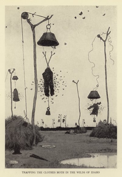 Atrapando la polilla de la ropa en los salvajes de Idaho de William Heath Robinson