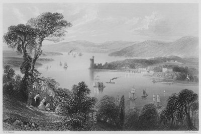 El Río Cork, desde abajo del Camino Glanmire (grabado) de William Henry (after) Bartlett