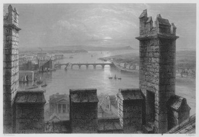 El Shannon, desde la torre de la catedral de Limerick de William Henry (after) Bartlett