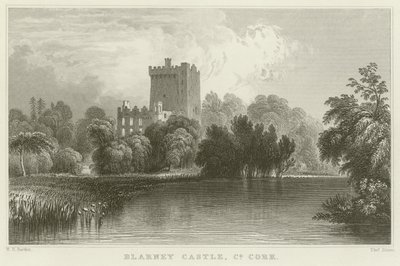 Castillo de Blarney en el Condado de Cork de William Henry Bartlett