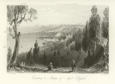Cementerio y mezquita de Ayub, Constantinopla de William Henry Bartlett