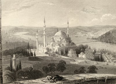 Mezquita y tumba de Solimán, desde la Torre del Seraskier, Estambul, Turquía, grabado por H. Adlard de William Henry Bartlett